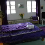 Rhein River - Direkt Am Rhein 3*