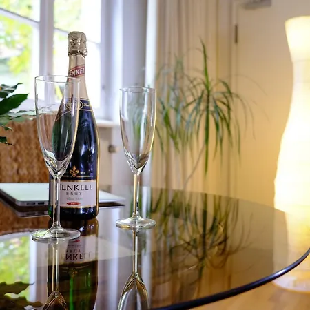 Rhein River - Direkt Am Rhein 3*