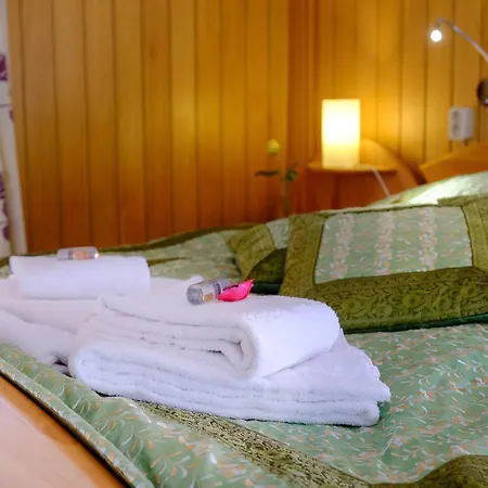 Pensionat Rhein River - Direkt Am Rhein