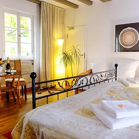 Rhein River - Direkt Am Rhein Guest house 3*
