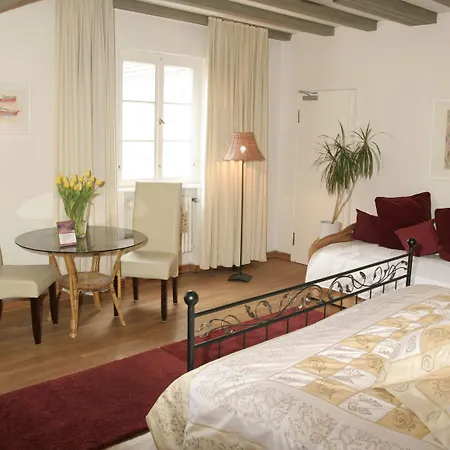 Rhein River - Direkt Am Rhein 3*