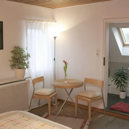 Πανσιόν Rhein River - Direkt Am Rhein 3*