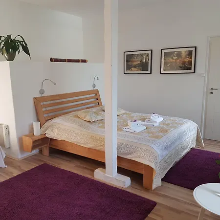 Rhein River - Direkt Am Rhein 3* Λεβερκούζεν