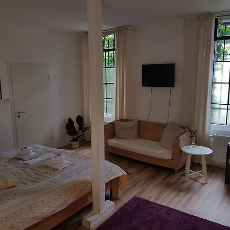 Rhein River - Direkt Am Rhein 3*