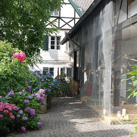 Rhein River - Direkt Am Rhein Guest house Leverkusen