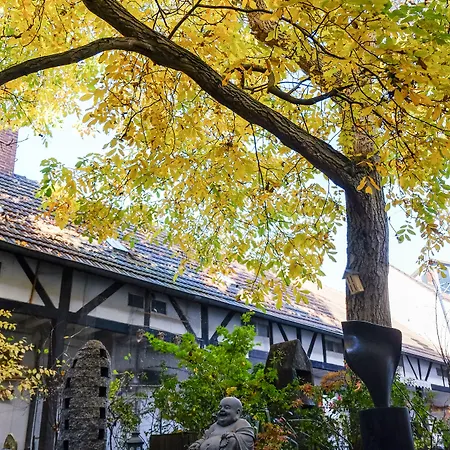 Rhein River - Direkt Am Rhein 3* Leverkusen