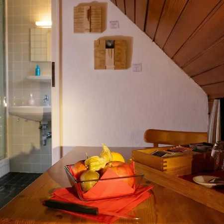 Rhein River - Direkt Am Rhein 3* ليفركوزن