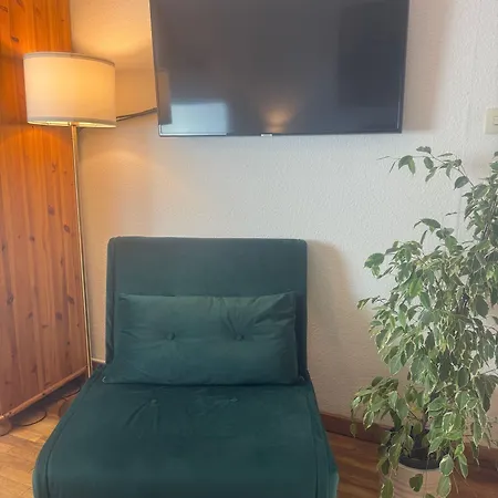 Rhein River - Direkt Am Rhein 3*