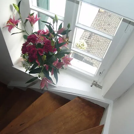 Guest house Rhein River - Direkt Am Rhein 3*