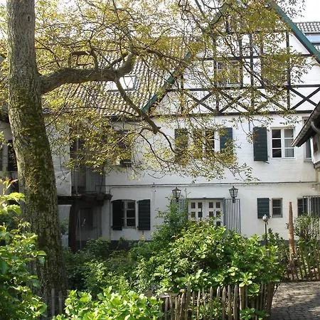 Pensionat Rhein River - Direkt Am Rhein 3*