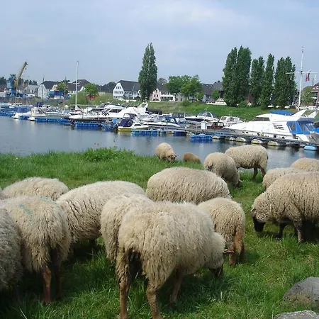 Rhein River - Direkt Am Rhein