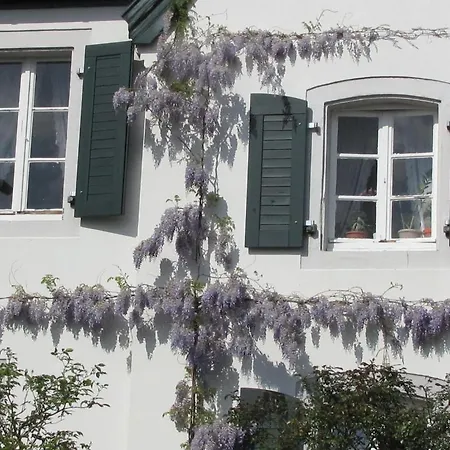 Guest house Rhein River - Direkt Am Rhein Leverkusen