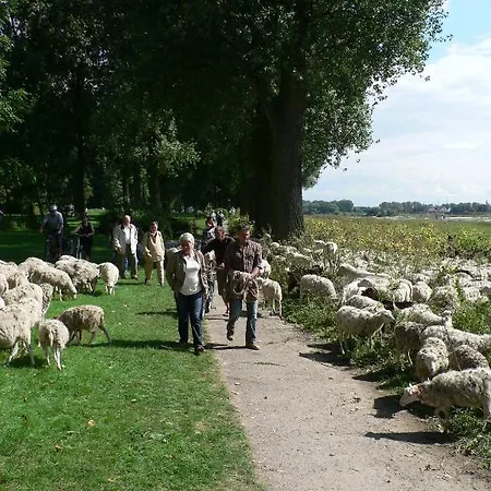 Rhein River - Direkt Am Rhein Pensionat Leverkusen