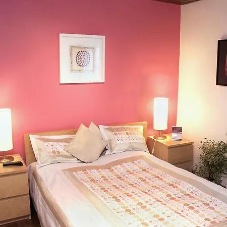 Pensionat Rhein River - Direkt Am Rhein