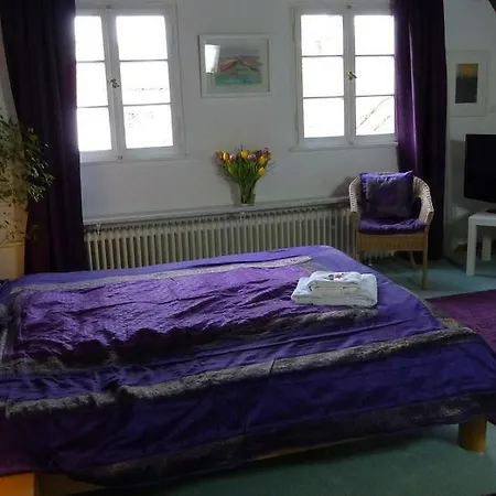 Rhein River - Direkt Am Rhein 3*