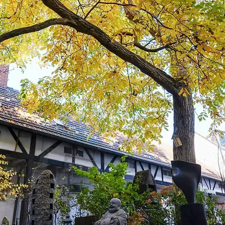 Guest house Rhein River - Direkt Am Rhein Leverkusen