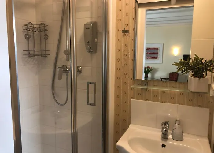 Rhein River - Direkt Am Rhein 3*