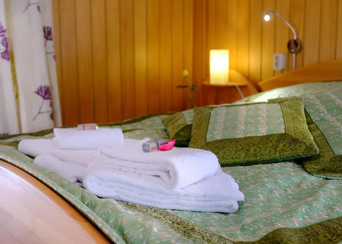 بيت ضيافة Rhein River - Direkt Am Rhein