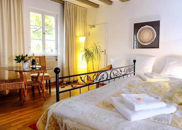 Rhein River - Direkt Am Rhein Pensionat 3*