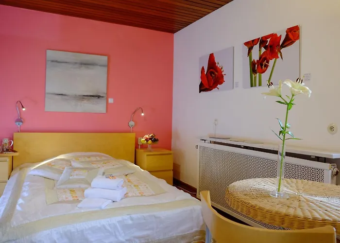 Rhein River - Direkt Am Rhein بيت ضيافة ليفركوزن