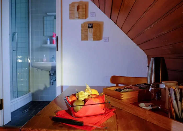 Rhein River - Direkt Am Rhein