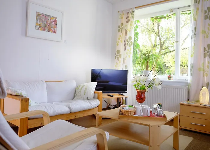 Rhein River - Direkt Am Rhein 3*