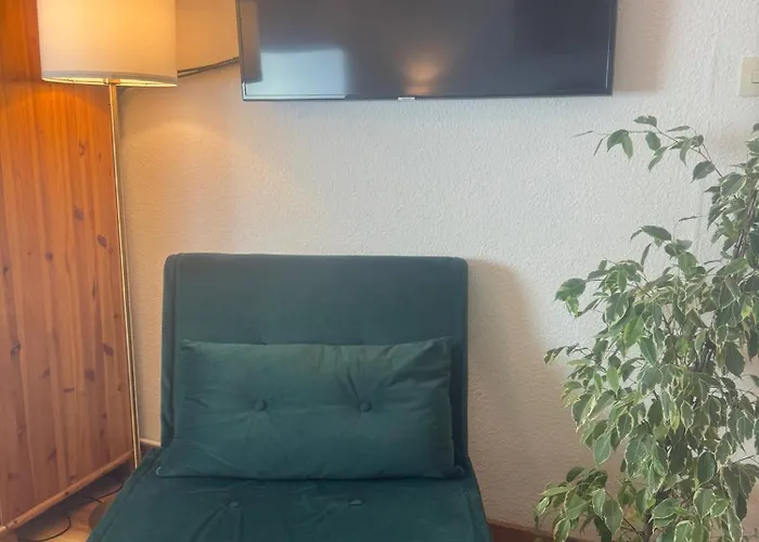 بيت ضيافة Rhein River - Direkt Am Rhein 3*