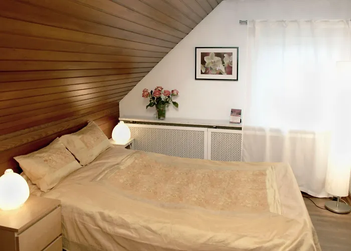 Rhein River - Direkt Am Rhein Pensionat Leverkusen