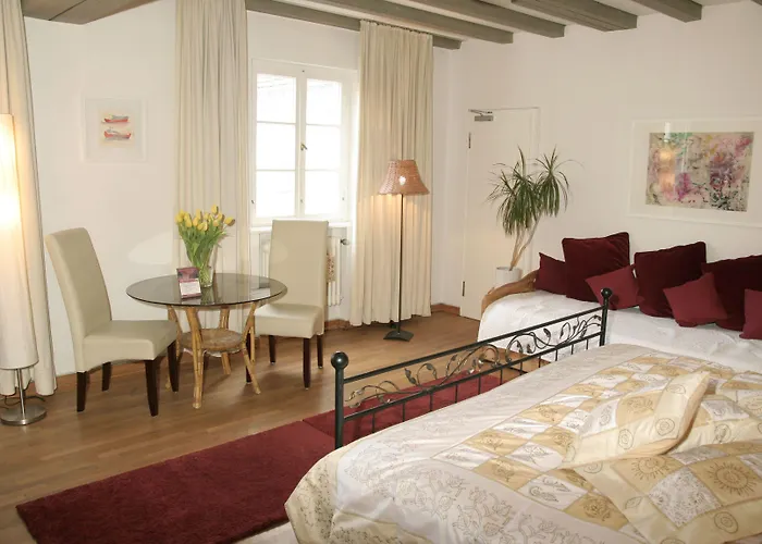 Rhein River - Direkt Am Rhein 3*