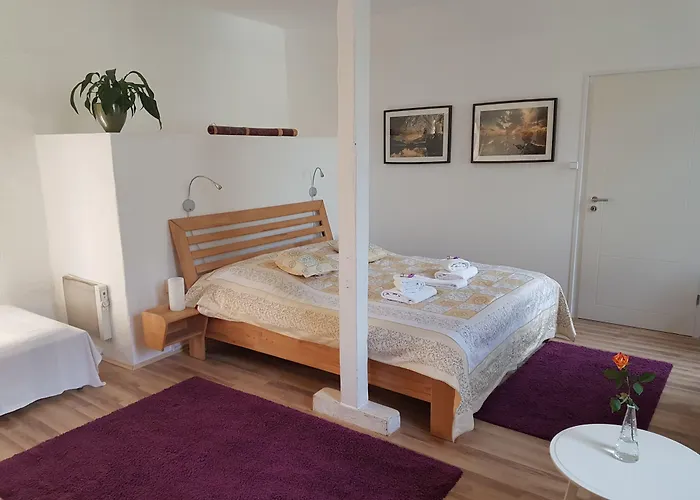 Rhein River - Direkt Am Rhein 3* Leverkusen