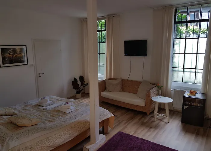 Rhein River - Direkt Am Rhein 3*