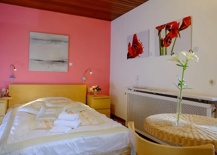 Rhein River - Direkt Am Rhein Pensionat 3*