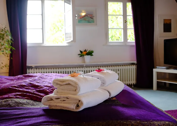 Rhein River - Direkt Am Rhein Pensionat Leverkusen