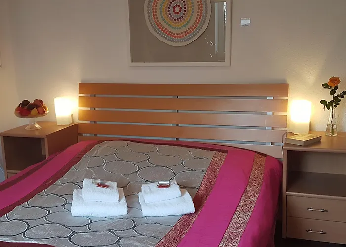 Rhein River - Direkt Am Rhein Pensionat 3*