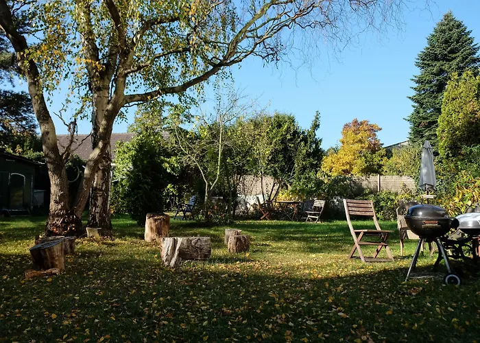 Rhein River - Direkt Am Rhein