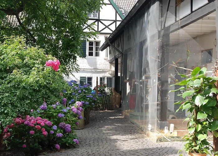 Rhein River - Direkt Am Rhein بيت ضيافة ليفركوزن