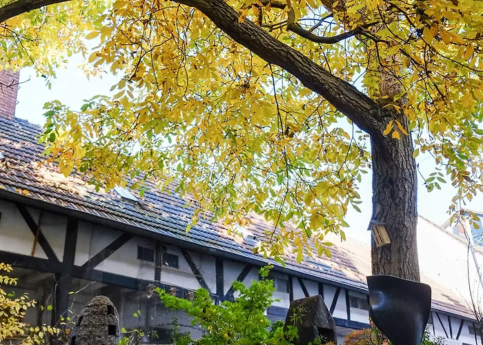 Rhein River - Direkt Am Rhein 3* לברקוסן