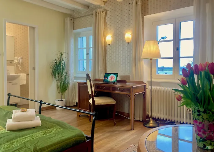 Rhein River - Direkt Am Rhein Pensionat 3*