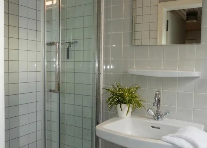 Rhein River - Direkt Am Rhein