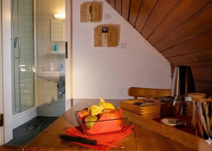 Rhein River - Direkt Am Rhein 3* Leverkusen