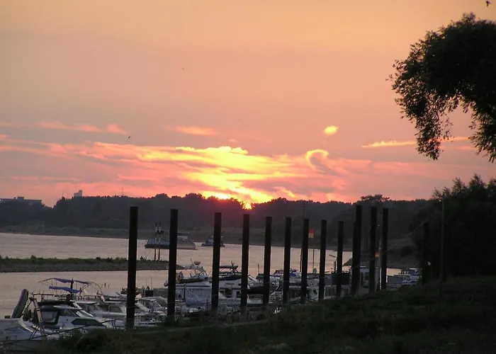 Rhein River - Direkt Am Rhein بيت ضيافة