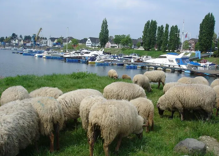 Rhein River - Direkt Am Rhein
