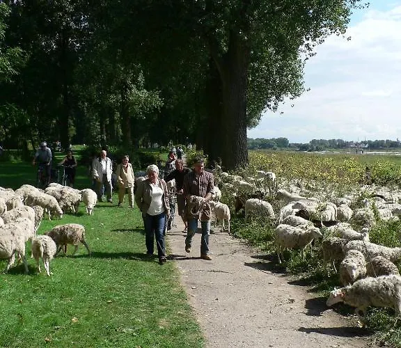 Rhein River - Direkt Am Rhein Pensionat Leverkusen