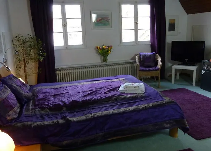 Rhein River - Direkt Am Rhein 3*