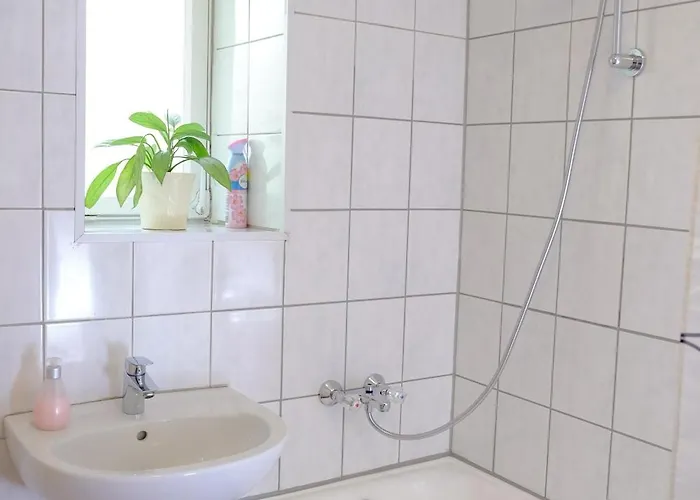 Rhein River - Direkt Am Rhein 3* Leverkusen