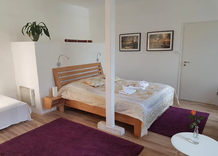 Rhein River - Direkt Am Rhein Pensionat 3*