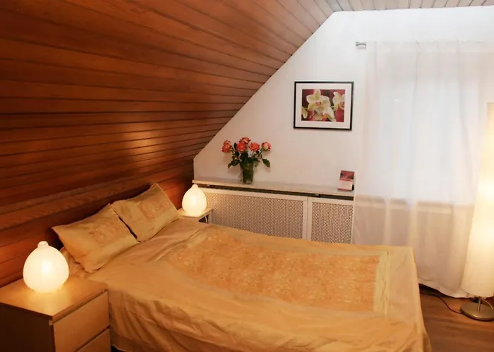 Rhein River - Direkt Am Rhein 3* Leverkusen